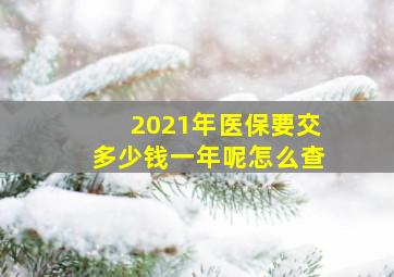 2021年医保要交多少钱一年呢怎么查