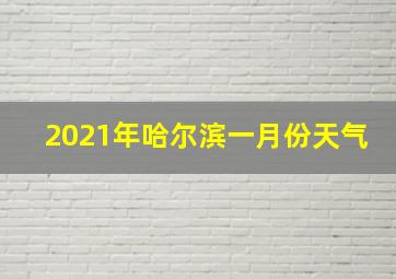 2021年哈尔滨一月份天气