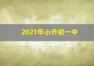 2021年小升初一中