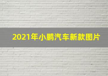 2021年小鹏汽车新款图片