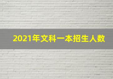 2021年文科一本招生人数