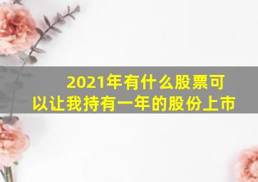 2021年有什么股票可以让我持有一年的股份上市