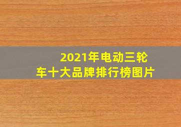 2021年电动三轮车十大品牌排行榜图片