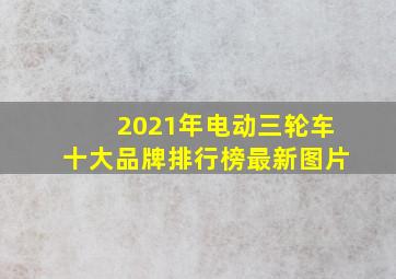 2021年电动三轮车十大品牌排行榜最新图片