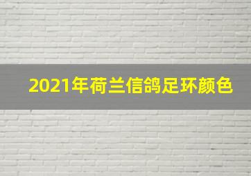 2021年荷兰信鸽足环颜色