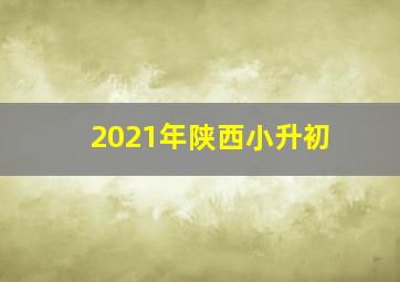 2021年陕西小升初