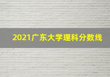 2021广东大学理科分数线