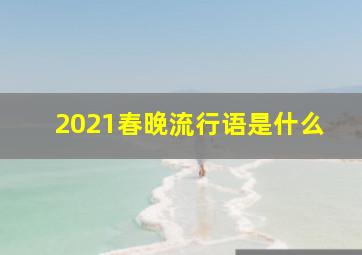 2021春晚流行语是什么