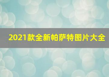 2021款全新帕萨特图片大全