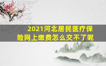 2021河北居民医疗保险网上缴费怎么交不了呢