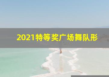 2021特等奖广场舞队形