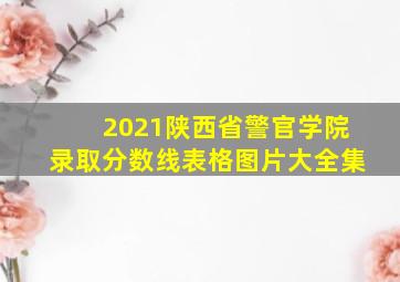 2021陕西省警官学院录取分数线表格图片大全集