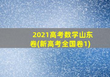 2021高考数学山东卷(新高考全国卷1)