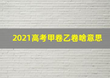 2021高考甲卷乙卷啥意思