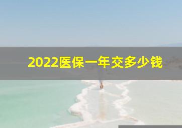 2022医保一年交多少钱