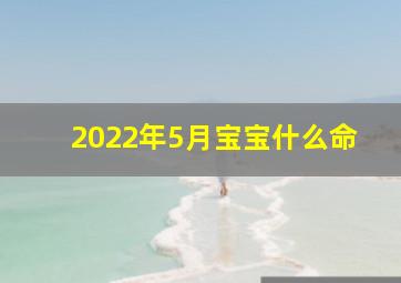 2022年5月宝宝什么命