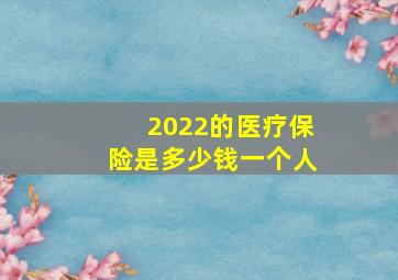 2022的医疗保险是多少钱一个人