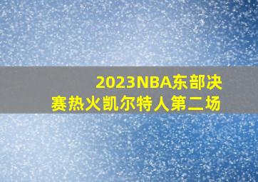 2023NBA东部决赛热火凯尔特人第二场