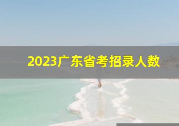 2023广东省考招录人数