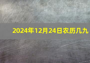 2024年12月24日农历几九