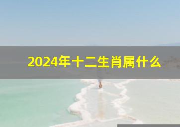 2024年十二生肖属什么