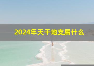 2024年天干地支属什么