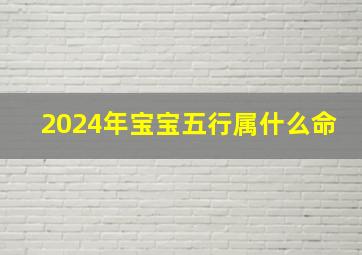 2024年宝宝五行属什么命