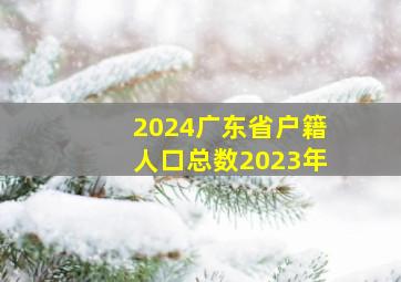 2024广东省户籍人口总数2023年