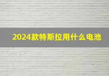 2024款特斯拉用什么电池