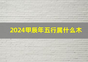 2024甲辰年五行属什么木