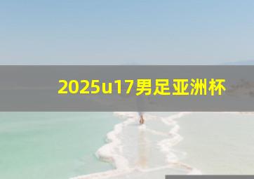 2025u17男足亚洲杯