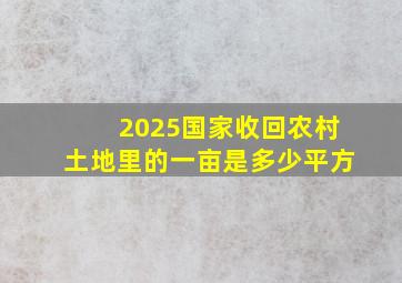 2025国家收回农村土地里的一亩是多少平方