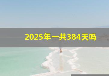 2025年一共384天吗