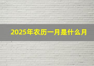 2025年农历一月是什么月