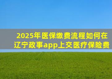 2025年医保缴费流程如何在辽宁政事app上交医疗保险费