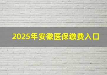 2025年安徽医保缴费入口