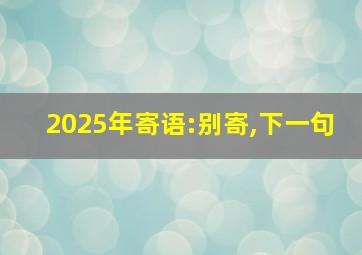 2025年寄语:别寄,下一句