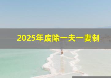 2025年废除一夫一妻制