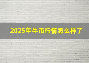 2025年牛市行情怎么样了