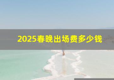 2025春晚出场费多少钱