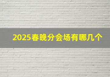 2025春晚分会场有哪几个