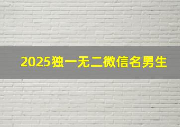 2025独一无二微信名男生