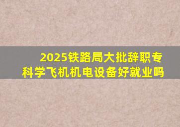 2025铁路局大批辞职专科学飞机机电设备好就业吗