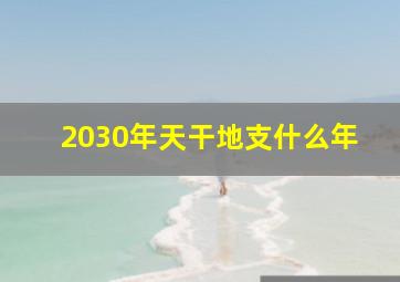 2030年天干地支什么年