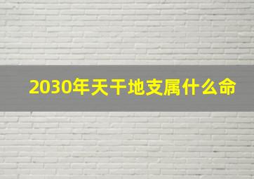 2030年天干地支属什么命