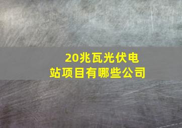 20兆瓦光伏电站项目有哪些公司