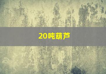 20吨葫芦