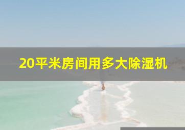 20平米房间用多大除湿机