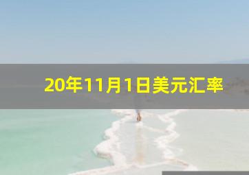 20年11月1日美元汇率