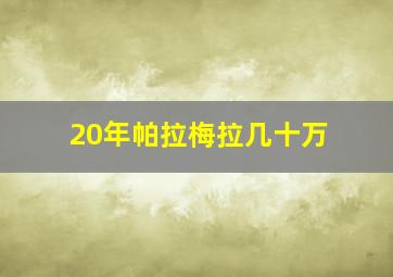 20年帕拉梅拉几十万